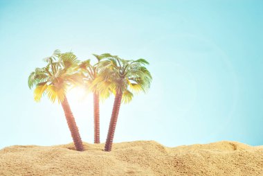 Cennet adasında minyatür palmiye ağaçları. Kumsalın manzarası, kumsalda palmiye ağaçları var. Arka planda mavi gökyüzü. Dinlenme ve seyahat konsepti.
