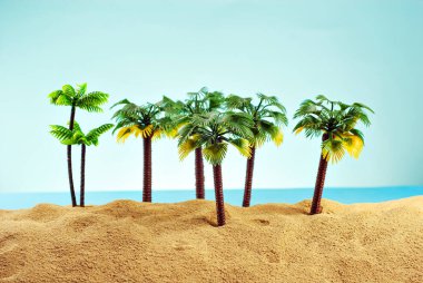Cennet adasında minyatür palmiye ağaçları. Kumsalın manzarası, kumsalda palmiye ağaçları var. Arka planda mavi gökyüzü. Dinlenme ve seyahat konsepti.