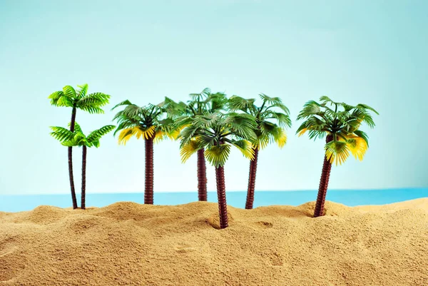 Cennet adasında minyatür palmiye ağaçları. Kumsalın manzarası, kumsalda palmiye ağaçları var. Arka planda mavi gökyüzü. Dinlenme ve seyahat konsepti.