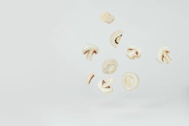 Beyaz arka planda mantarlar, yakın plan. Havada mantarlar uçuşuyor. Yemek yakınındaki metin için boşluk ve boş alanı kopyala.