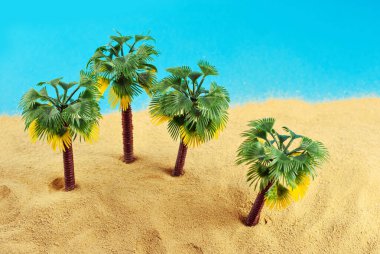 Cennet adasında minyatür palmiye ağaçları. Kumsalın manzarası, kumsalda palmiye ağaçları var. Arka planda mavi gökyüzü. Dinlenme ve seyahat konsepti.