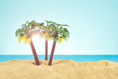 Cennet adasında minyatür palmiye ağaçları. Kumsalın manzarası, kumsalda palmiye ağaçları var. Arka planda mavi gökyüzü. Dinlenme ve seyahat konsepti.