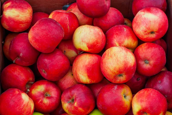 Viele Rote Und Gelbe Äpfel Einer Schachtel Textur Von Runden — Stockfoto