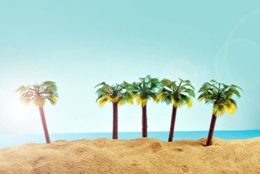 Cennet adasında minyatür palmiye ağaçları. Kumsalın manzarası, kumsalda palmiye ağaçları var. Arka planda mavi gökyüzü. Dinlenme ve seyahat konsepti.