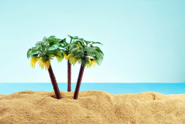 Cennet adasında minyatür palmiye ağaçları. Kumsalın manzarası, kumsalda palmiye ağaçları var. Arka planda mavi gökyüzü. Dinlenme ve seyahat konsepti.
