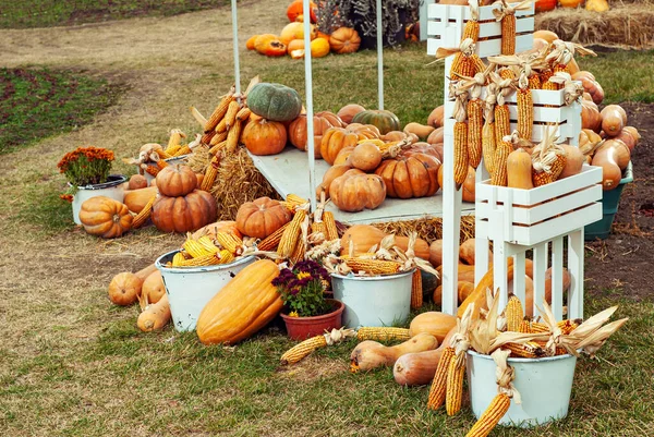 Yellow and orange pumpkins at the fair. Pumpkins in baskets and boxes. Many different pumpkins for sale. Concept of autumn, harvest and celebration.
