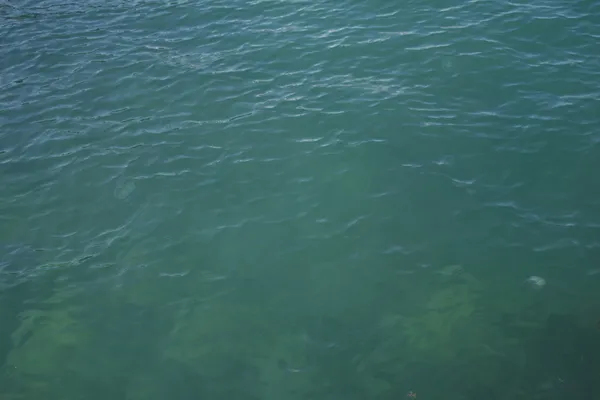 Mavi deniz — Stok fotoğraf