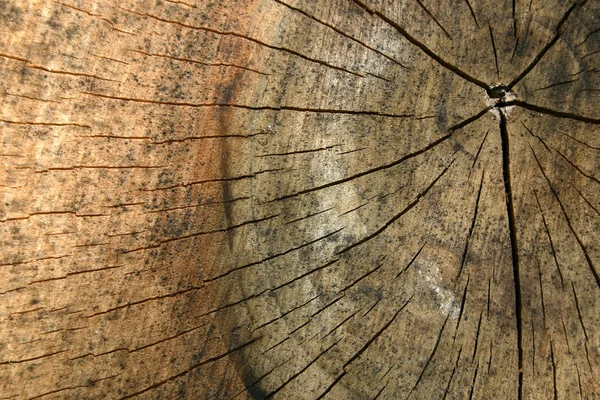 木制背景 — 图库照片