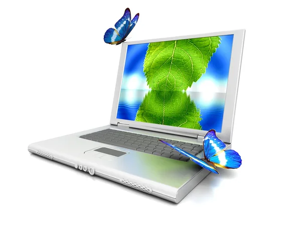 Natürliches Laptop — Stockfoto