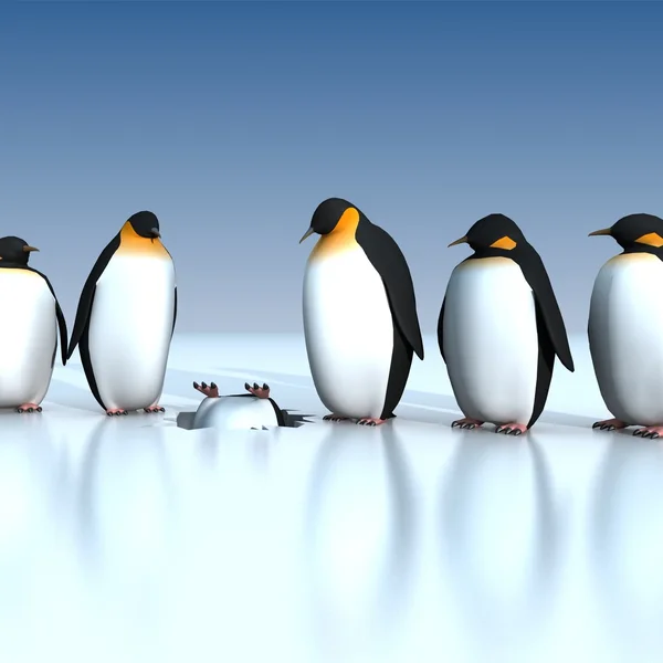 Pinguins divertidos — Fotografia de Stock