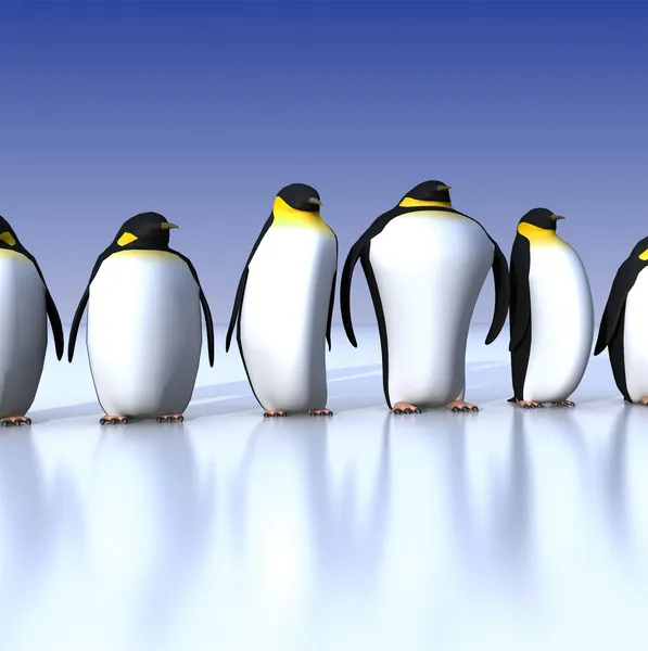 Pingüinos divertidos — Foto de Stock