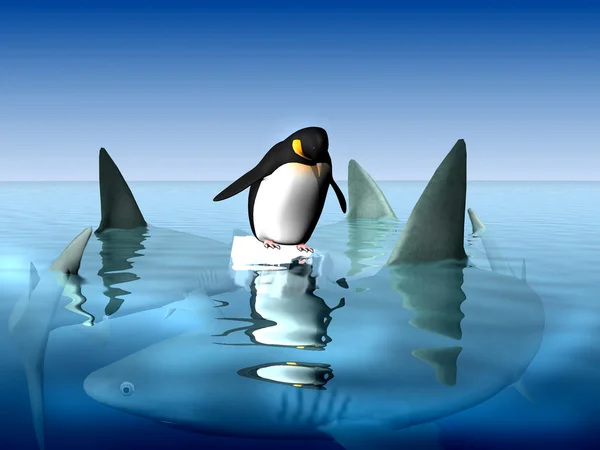 Pingüino extremo — Foto de Stock