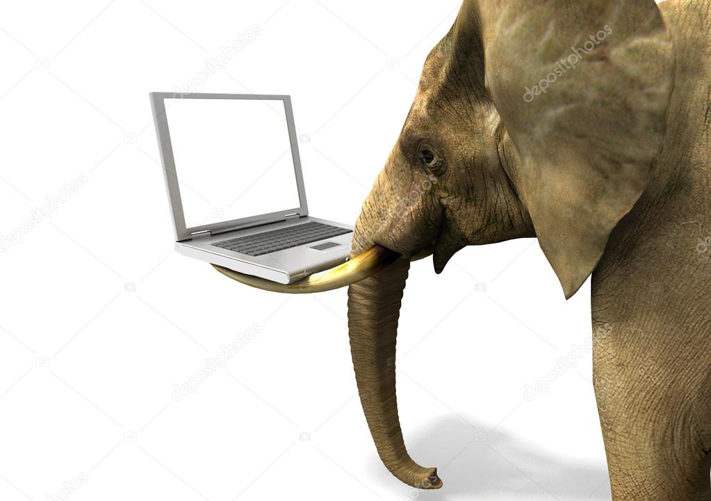 Elephant and Laptop