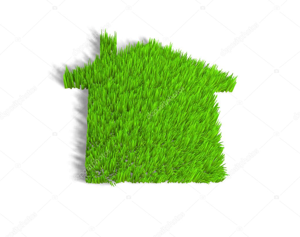 Green eco house metaphor