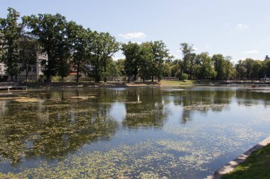 Ekmek Gölü ya da İkiz Göl manzarası güneşli bir günde, Kalininingrad, Rusya.
