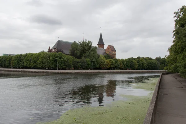 Kaliningrad Russia August 2019 View Pregel Pregolya River Konigsberg Cathedral — Stockfoto