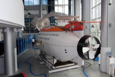 Kaliningrad, Russia - August 03 2019: the view of the World Ocean Museum exhibition on August 03 2019 in Kaliningrad, Russia.