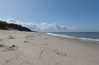 The view of the sea and beach at Curonian Spit in summer time, Kaliningrad Oblast, Russia.