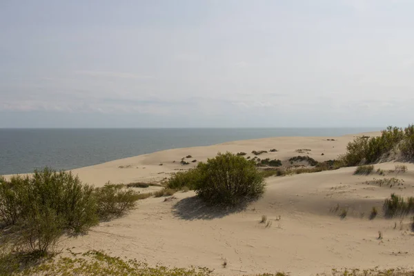 Curonian Spit 'teki Epha Tepesi manzarası, Kaliningrad Oblastı, Rusya.