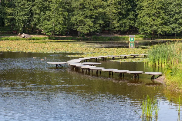 Vista Del Estanque Parque Ciudad Hora Verano Zelenogradsk Rusia — Foto de Stock