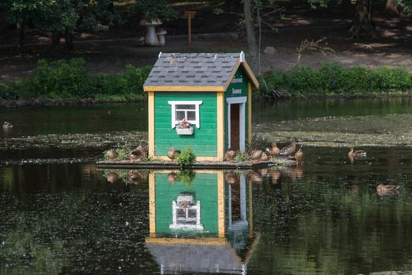 Yaz mevsiminde şehir parkındaki göl kenarındaki ahşap kuş evi manzarası, Zelenogradsk, Rusya.
