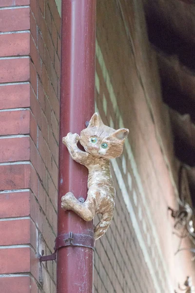 Die Ansicht Einer Katzenskulptur Auf Einem Fallrohr Zelenogradsk Russland — Stockfoto