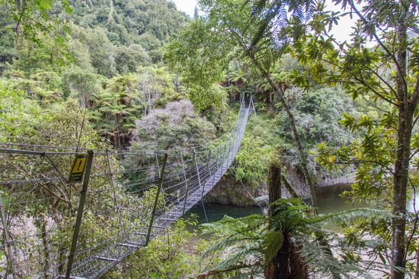 Vista Del Ponte Oscillante Pourewa Nel Parco Nazionale Urewera Nuova — Foto Stock