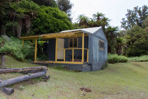 New Zealand Urewera National Park December 2020 Mako Mako Hut — стокове фото