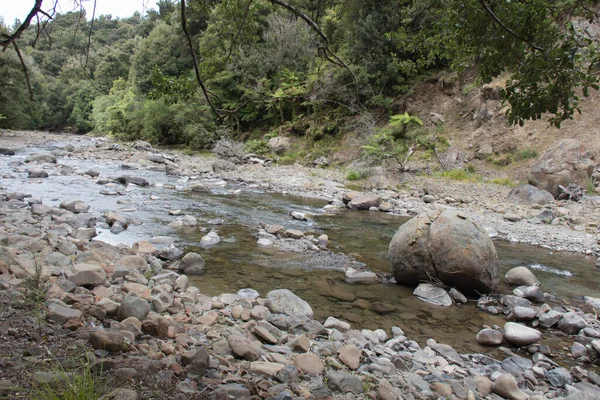 View Fast River Flows Urewera National Park New Zealand — Stock Photo, Image