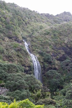 Karekare Şelalesi, Waitakere Sıradağları Bölgesel Parkı, Yeni Zelanda.