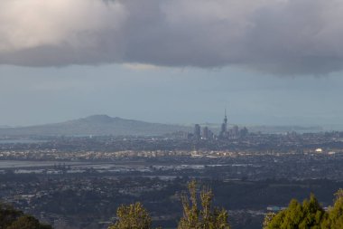 Auckland şehri ve Yeni Zelanda 'daki Rangitoto Adası' nın panoramik manzarası.