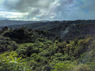 Waitakere Ranges, Yeni Zelanda 'daki bulutlu ve dağlı manzara manzarası.