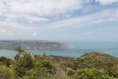 Donald McLean Dağı 'nın manzarası, Waitakere Sıradağları Bölgesel Parkı, Yeni Zelanda.