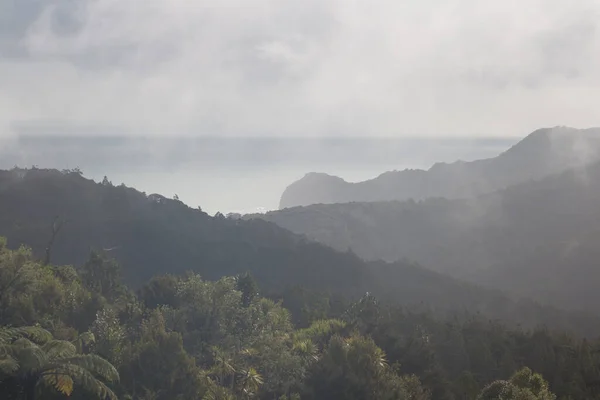 Vue Sur Paysage Pittoresque Avec Brouillard Montagnes Parc Régional Waitakere — Photo