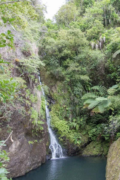 View Karamatura Main Waterfall New Zealand — Stock Photo, Image