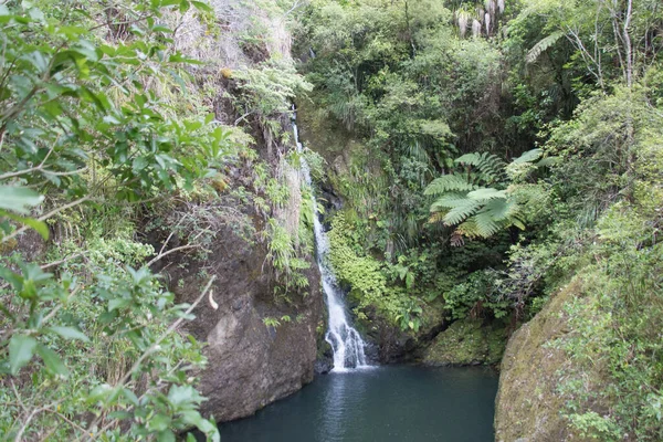 Der Blick Auf Den Karamatura Hauptwasserfall Neuseeland — Stockfoto