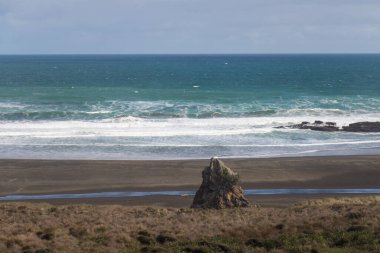 Deniz manzarası. Waitakere Sıradağları Bölgesel Parkı - Union Körfezi 'nin kuzey ucu, Yeni Zelanda.