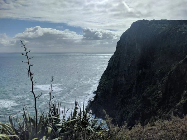 ニュージーランド 北島の西海岸の崖 海と水平線と空中ビュー — ストック写真