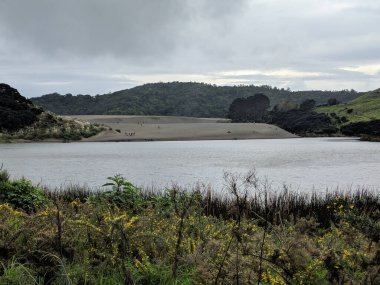 Yeni Zelanda, Wainamu Gölü etrafındaki kum tepelerinin manzarası..