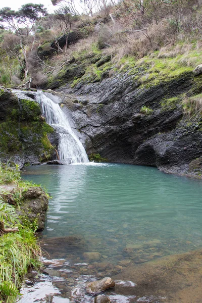 View Wainamu Waterfalls New Zealand — Stock Photo, Image
