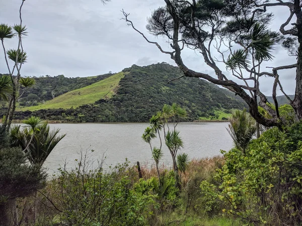 Vista Del Pittoresco Paesaggio Sul Lago Wainamu Nuova Zelanda — Foto Stock