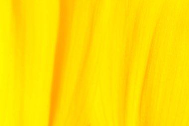 Soyut yoğun sarı renkli turuncu çizgilerin arkaplan görüntüsü.