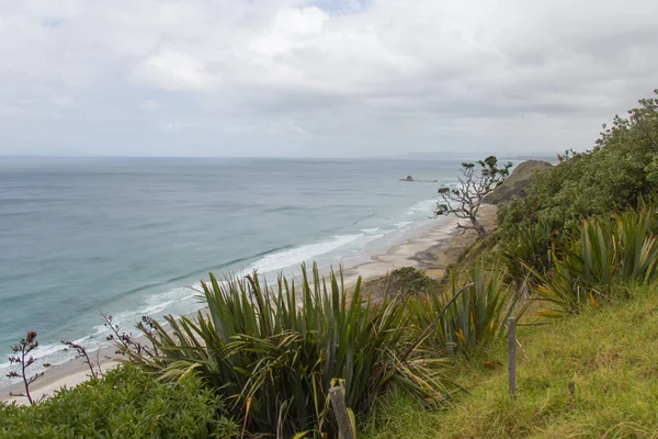 Veduta Aerea Mangawhai Heads Beach Una Giornata Nuvolosa Nuova Zelanda — Foto Stock