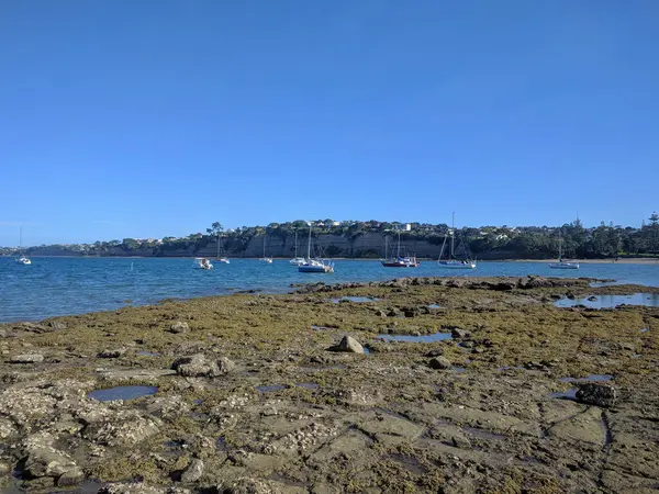 Vista Costa Rocosa Con Barcos Fondo Waiake Beach Auckland Nueva — Foto de Stock