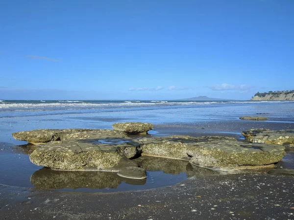 Vista Costa Rocosa Mar Cielo Azul Fondo Long Bay Nueva — Foto de Stock