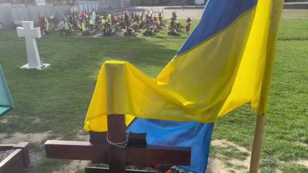 Львов Украина Августа 2022 Года Могилы Погибших Украинских Солдат Погибших — стоковое видео
