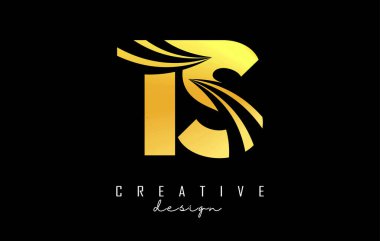 Golden letter TS t s logo with leading lines and road concept design. Letters with geometric design. Vector Illustration with letter and creative cuts.