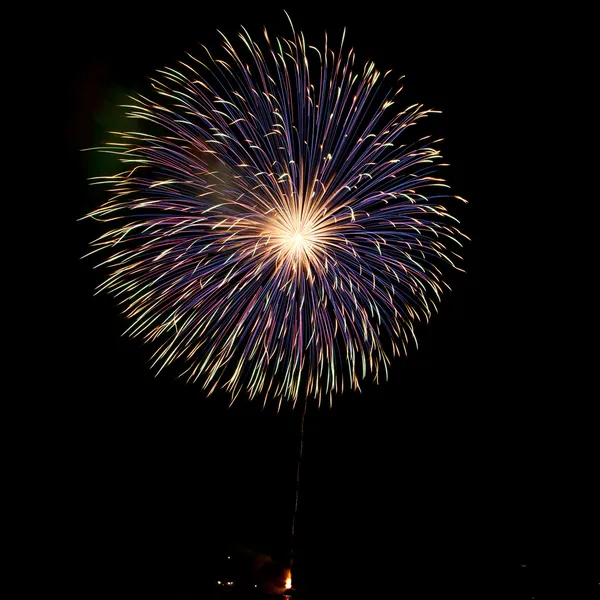 Fogos de artifício — Fotografia de Stock