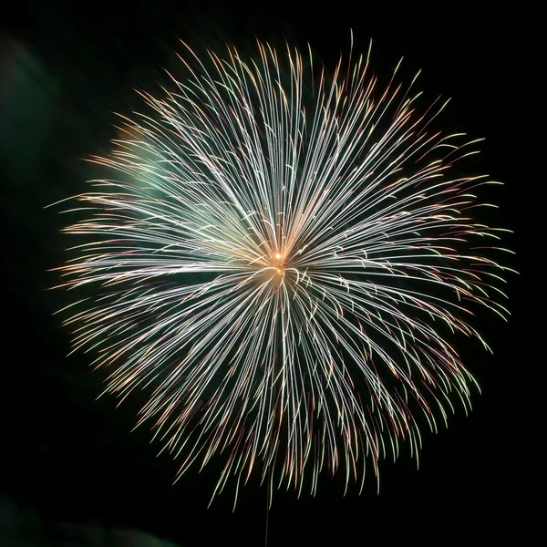 Feux d'artifice — Photo