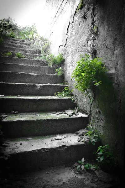 Stairway — Stock Photo, Image